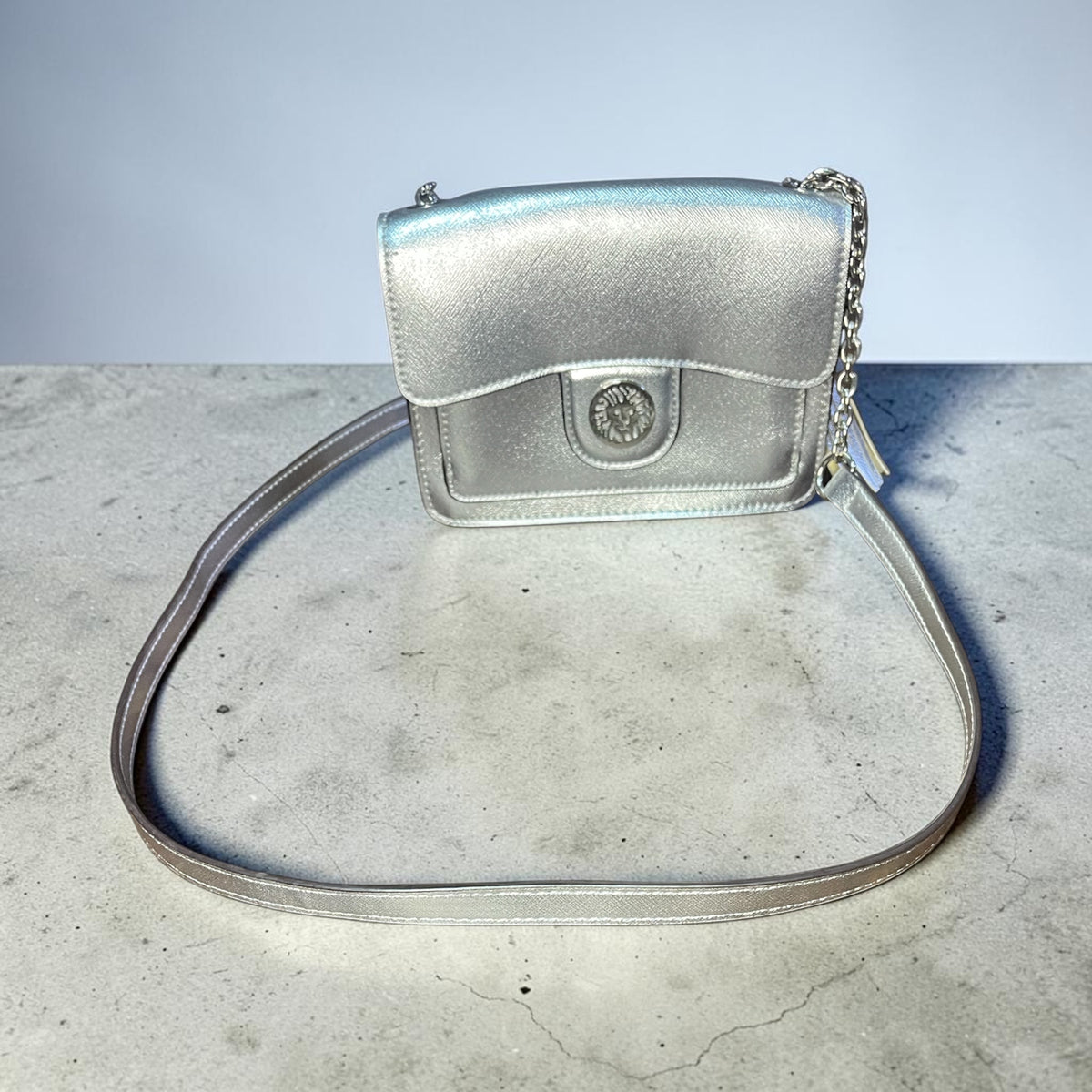 Silver Metallic crossbody bag